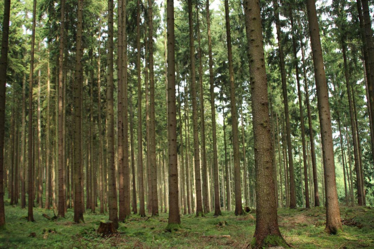 Ferienhaus "Gestiefelter Kater" Am See Im Bergland Kirchheim  Buitenkant foto